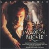 Download track Violin Concerto In D Major, Op. 61 I. Allegro Ma Non Troppo