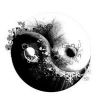 Download track A Tooth For An Eye