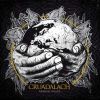 Download track Raised By Wolves