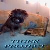 Download track Born To Universe - DJ TIGER 2008. Wav (Album Version)