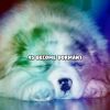 Download track Sleep Party