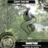 Download track Everlasting