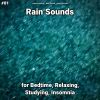 Download track Noises To Help You Fall Asleep