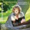 Download track The Seasons, Op. 37a, TH 135: IV. April. Snowdrop