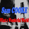 Download track Chain Gang (Remastered)