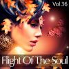 Download track Wonder (Original Mix)