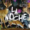 Download track Pajarito