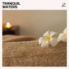 Download track Spa Instrumental