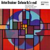 Download track Symphony No. 1 In C Minor (Linz Version 1865): I. Allegro (Remastered)