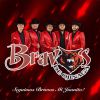 Download track Ave De Paso