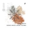 Download track Rainfall Lullaby, Awakening Buddha’s Wisdom