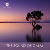 Download track 08. Bach- Partita No. 1 In B-Flat Major, BWV 825- I. Prelude (Arr. For Piano)