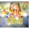 Download track Se Baila Pegao