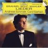 Download track 12. Rückert Lieder Song Collection For Voice Piano Or Orchestra: Liebst Du Um Schönheit O Nicht Mich Liebe
