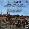 Download track 22. BWV 175. Rezitativ Tenor Wo Find Ich Dich?