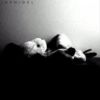 Download track High Tide (And I'M Drowning...)