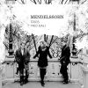 Download track Piano Trio No. 1 In D Minor. Op. 49: Piano Trio No. 1 In D Minor. Op. 49 II. Andante Con Moto Tranquillo