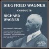 Download track Das Rheingold - Einzug Der Gotter In Walhall