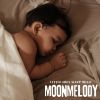 Download track Quiet Slumber