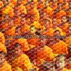 Download track Key To Thought