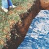 Download track Worm Food