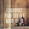Download track Piano Trio In A Minor, Op. 50: II A. Tema Con Variazioni - Tema - Andante Con Moto