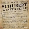 Download track Winterreise, D 911: Der Stürmische Morgen