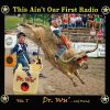 Download track Big Investment In The Blues