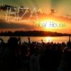 Download track Cuba Nights (Jose Diaz Tribal Remix)
