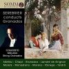 Download track 07. Gran Vals (Grande Valse) (Arr. V. Yélamo For String Orchestra)