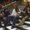 Download track Flying Home To Shelley - Silver Spear