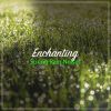Download track Rain To Fall Asleep (Loopable, No Fade)