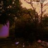 Download track Bloom