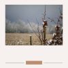 Download track Peaceful Jazz Saxophone - Vibe For Daily Unwinding