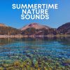 Download track When Does A Rainbow Occur In Nature