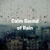 Download track Digital Rain, Pt. 1