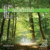 Download track Misty Mountains