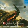 Download track Sinfonia No. 7 In G Minor, RosS 533.7: II. Moderato