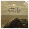 Download track 204 Trio Pour Piano Et Violoncelle, Op. 100 - IV Allegro Moderato