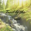 Download track Rain And Trees