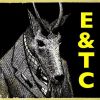Download track Trouble In Mind