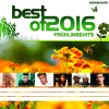 Download track Stimme