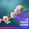 Download track Peaceful Stroll By The Brook