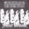 Download track All The World