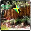 Download track Drunk N High