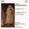 Download track 01. Symphony No. 4 In D Minor Op. 95 Dramatic - I. Lento-Allegro Moderato