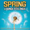 Download track Springfever (Chillin Guitar Mix)