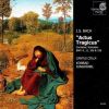 Download track 17. Der Herr Denket An Uns BWV 196: 1. Sinfonia