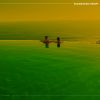 Download track Ethereal Quality