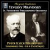 Download track Symphony No. 6 In B Minor, Op. 74, TH 30 -Pathétique- III. Allegro Molto Vivace